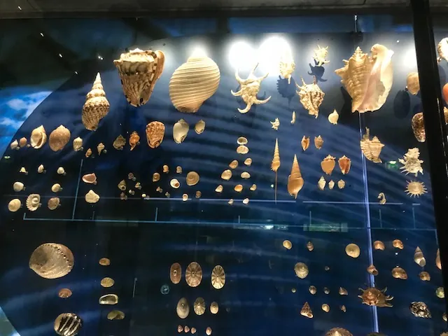 Une journée au Muséum : une escapade glacée et pleine de découvertes