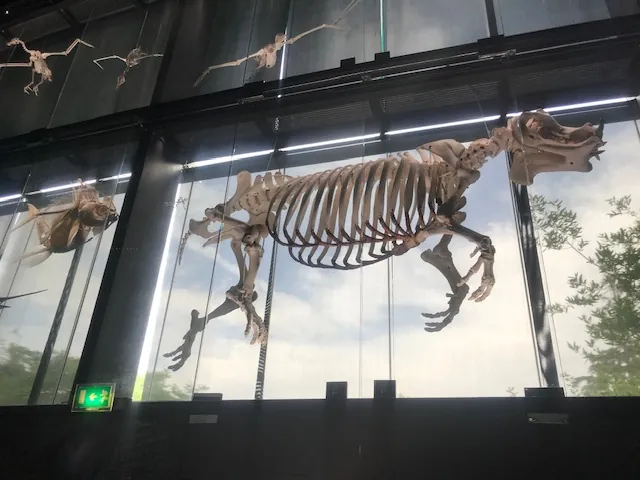 Une journée au Muséum : une escapade glacée et pleine de découvertes