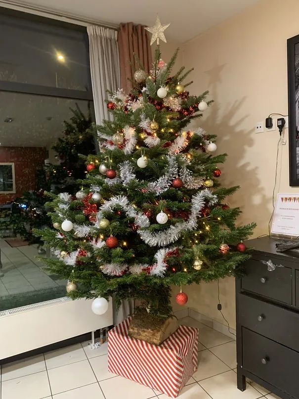 C'est parti pour l'ambiance de Noël !