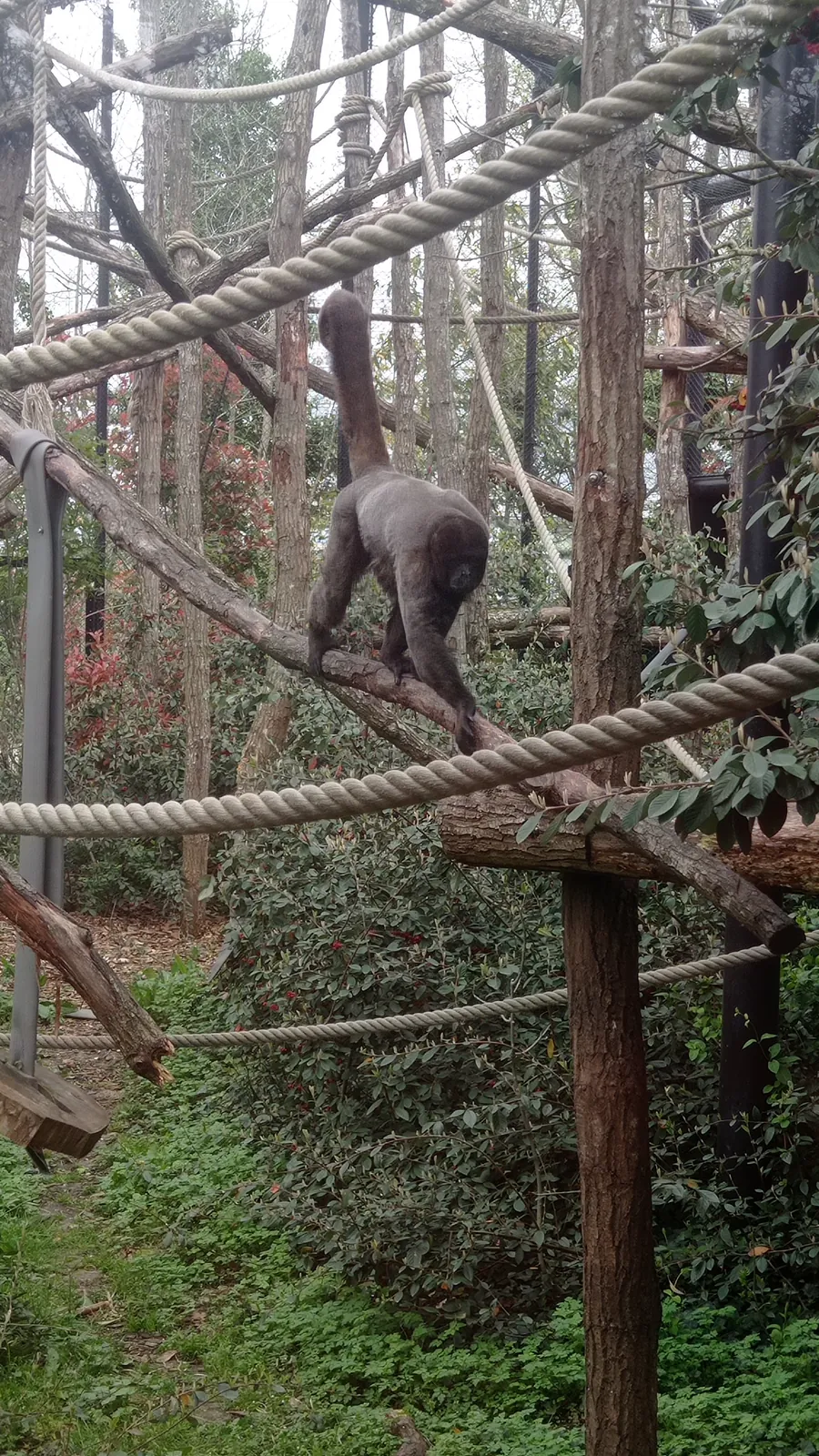 Sortie Parc Zoologique de Paris 