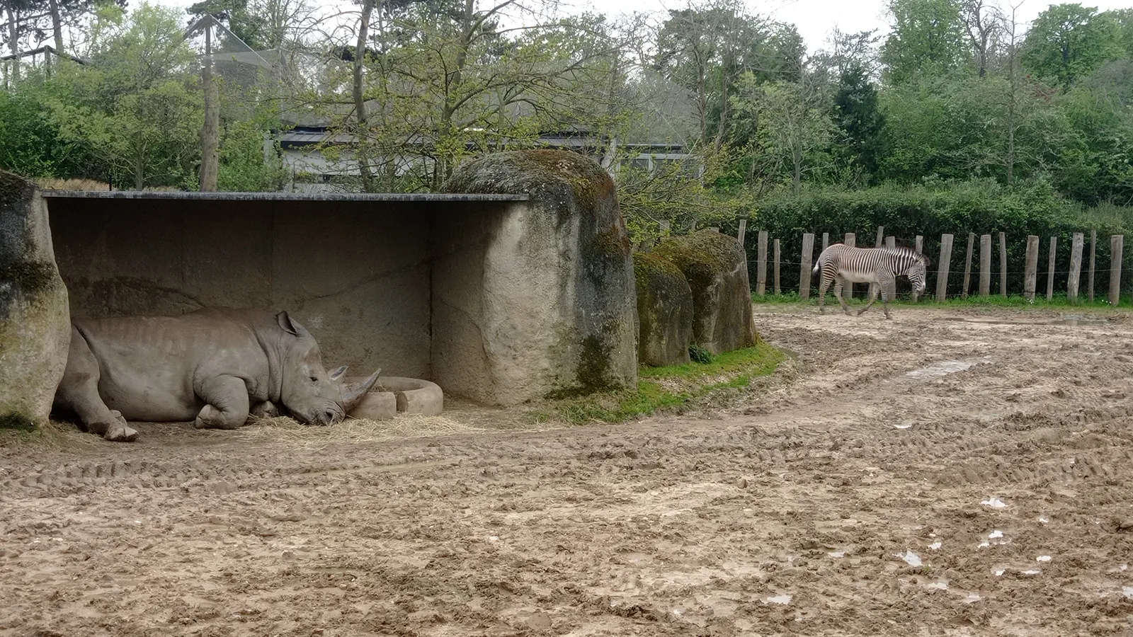 Sortie Parc Zoologique de Paris 