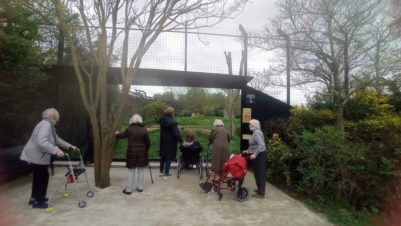 Sortie Parc Zoologique de Paris 