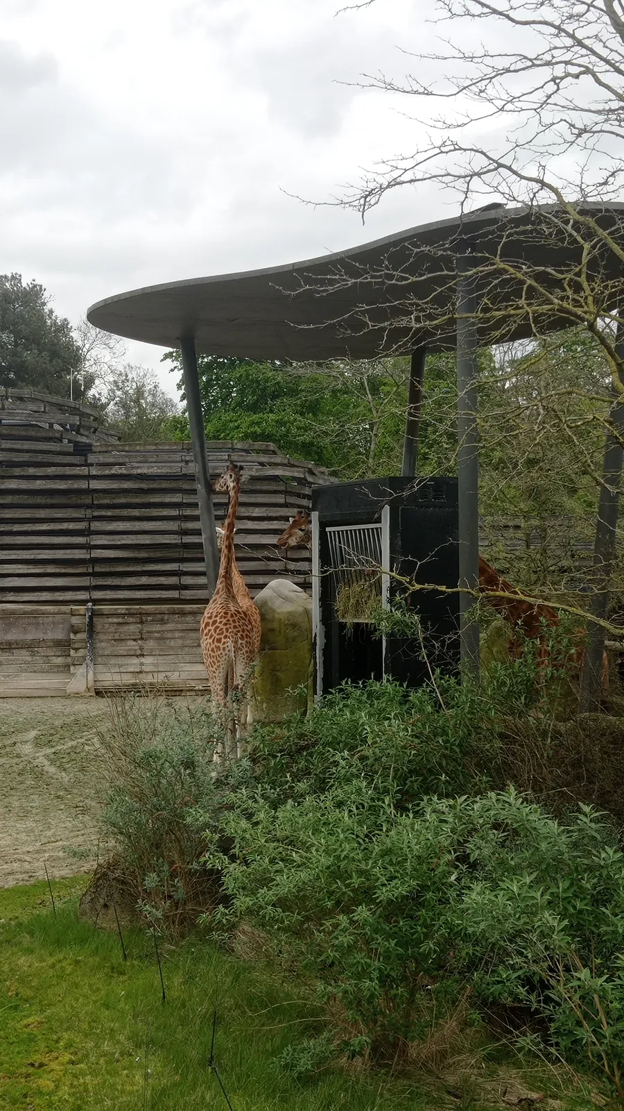 Sortie Parc Zoologique de Paris 