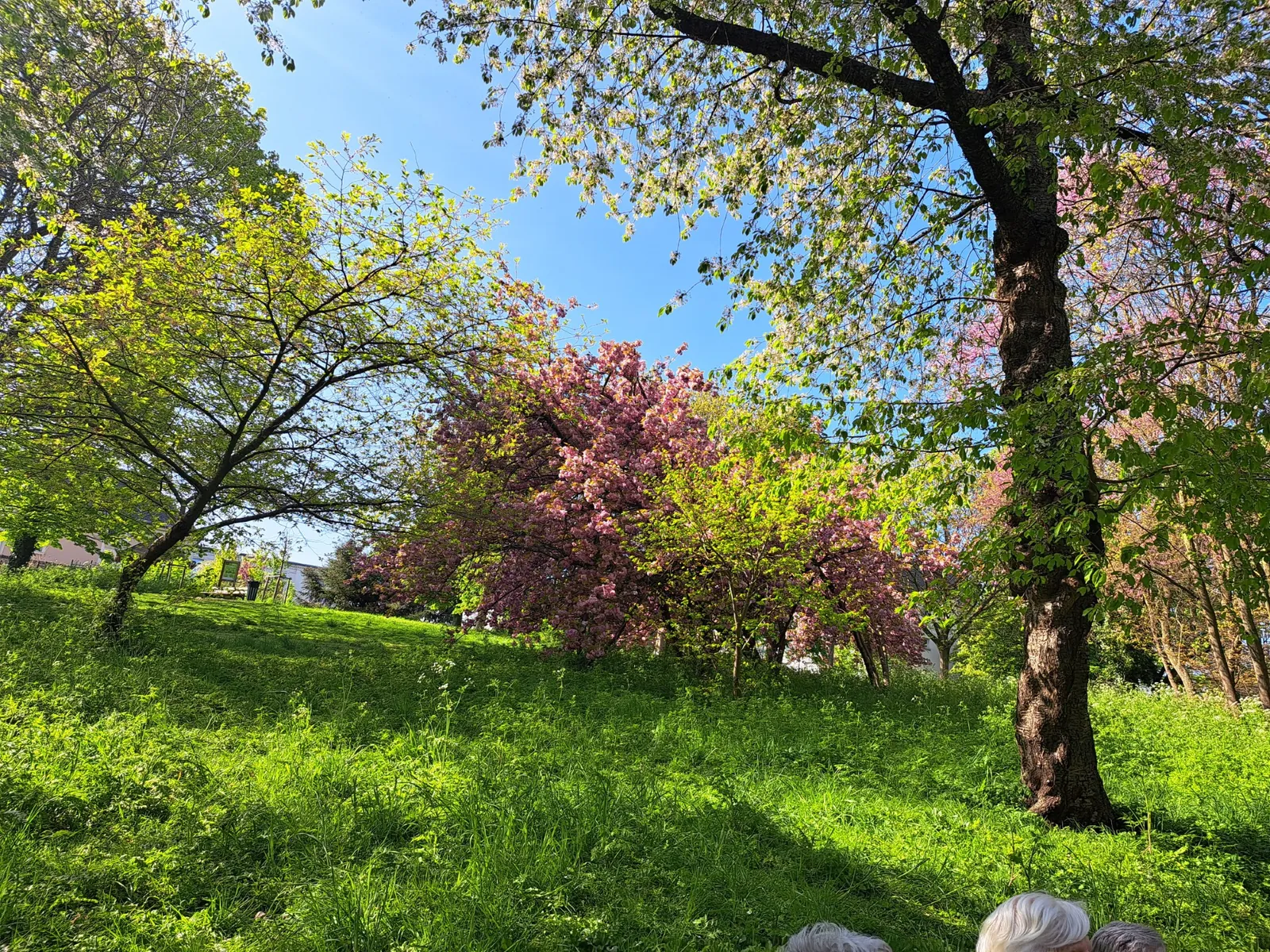 Un temps de partage et un air de printemps 