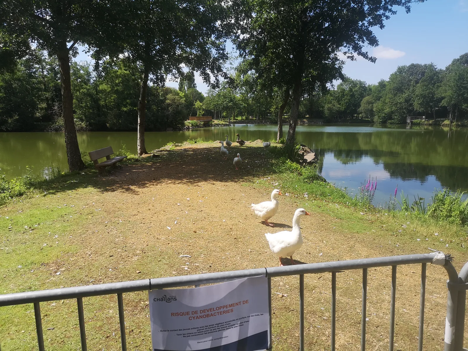 Sortie au parc de la Sablière 