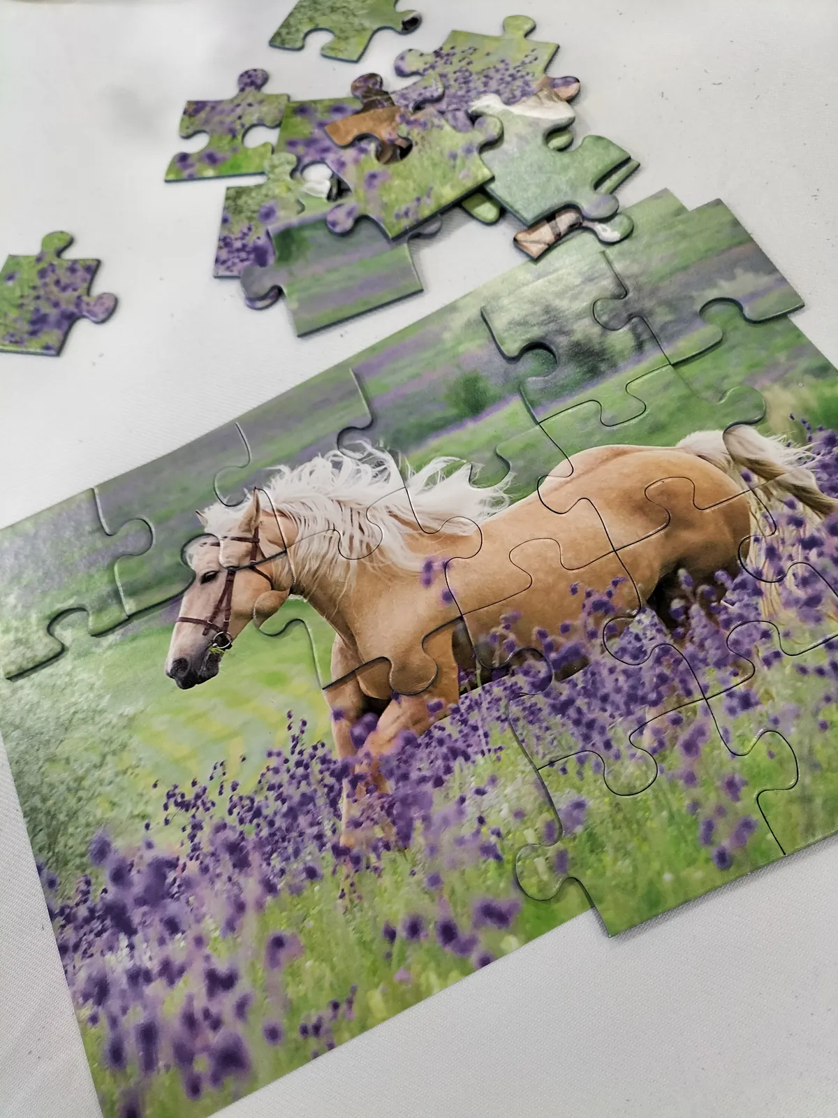 Puzzles 