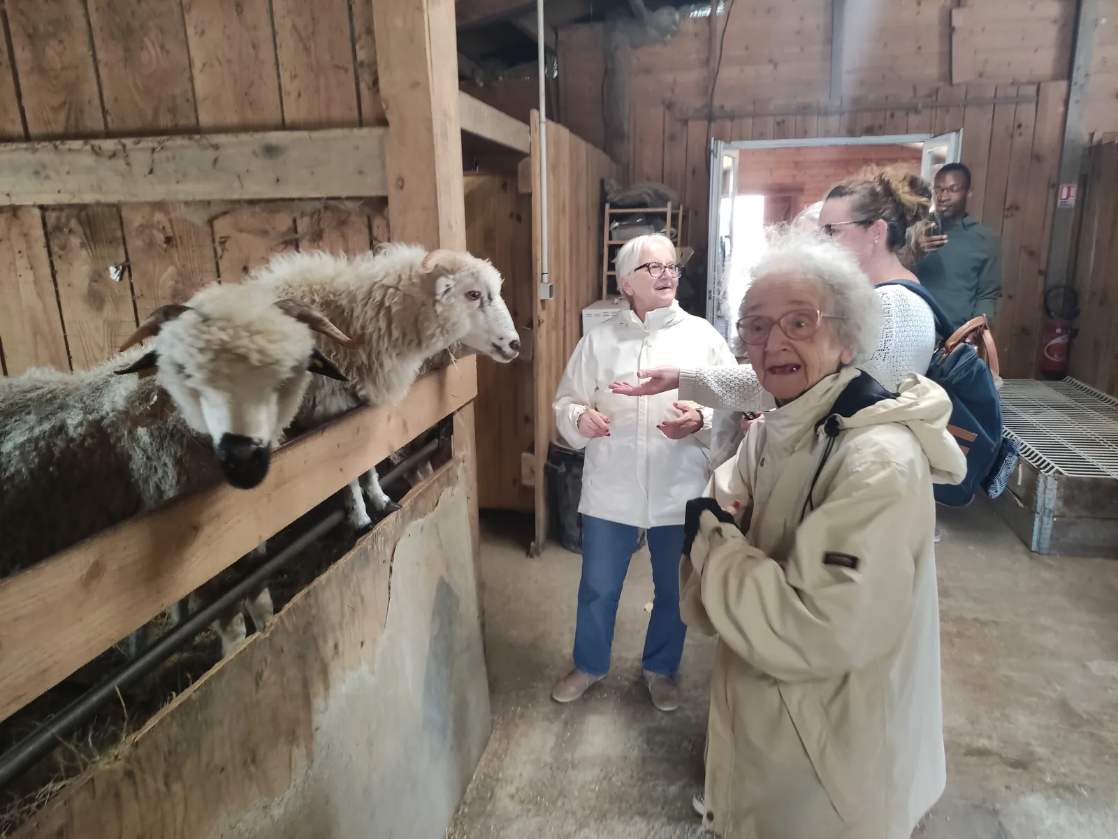 Sortie à la ferme 