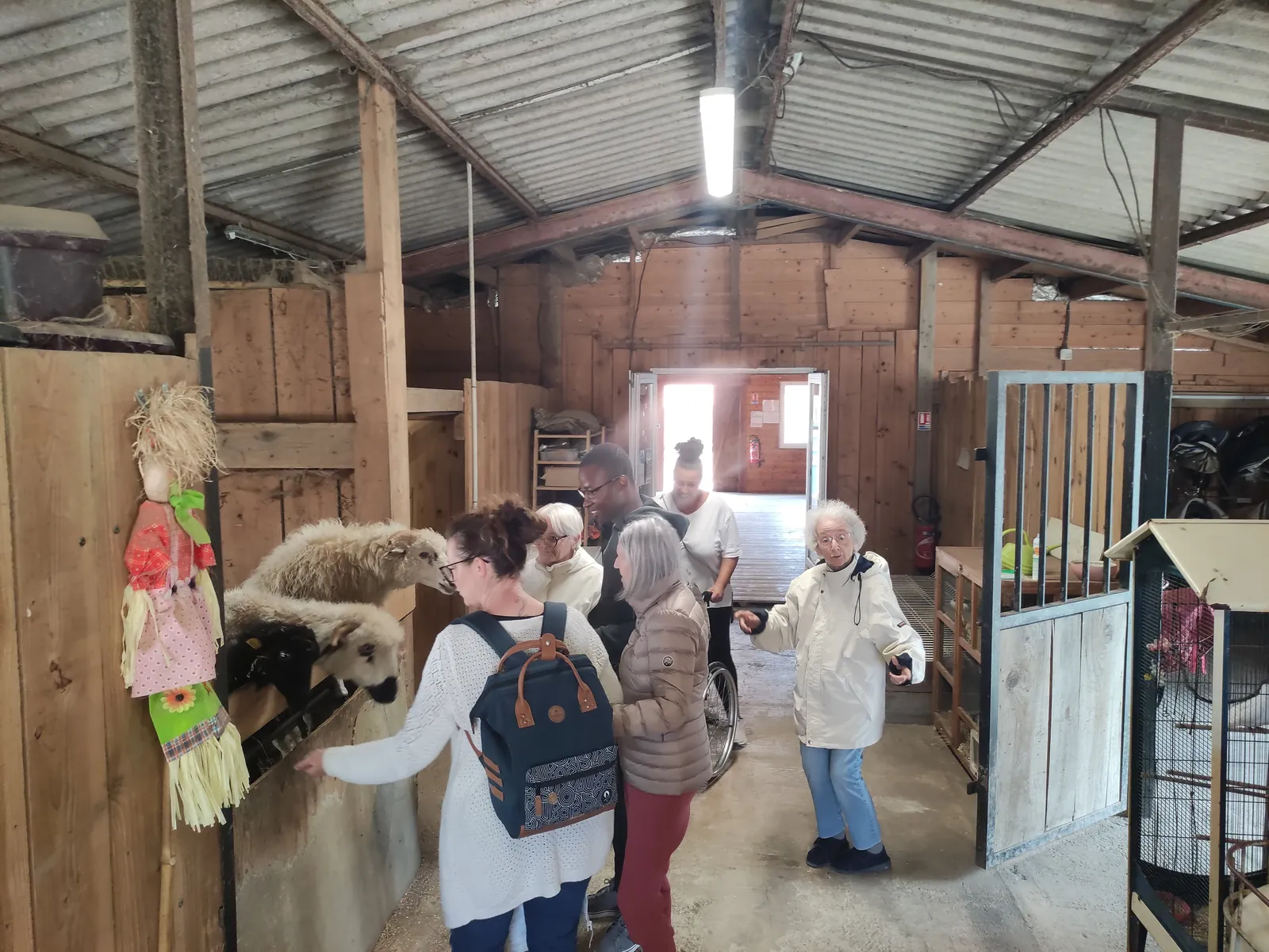 Sortie à la ferme 