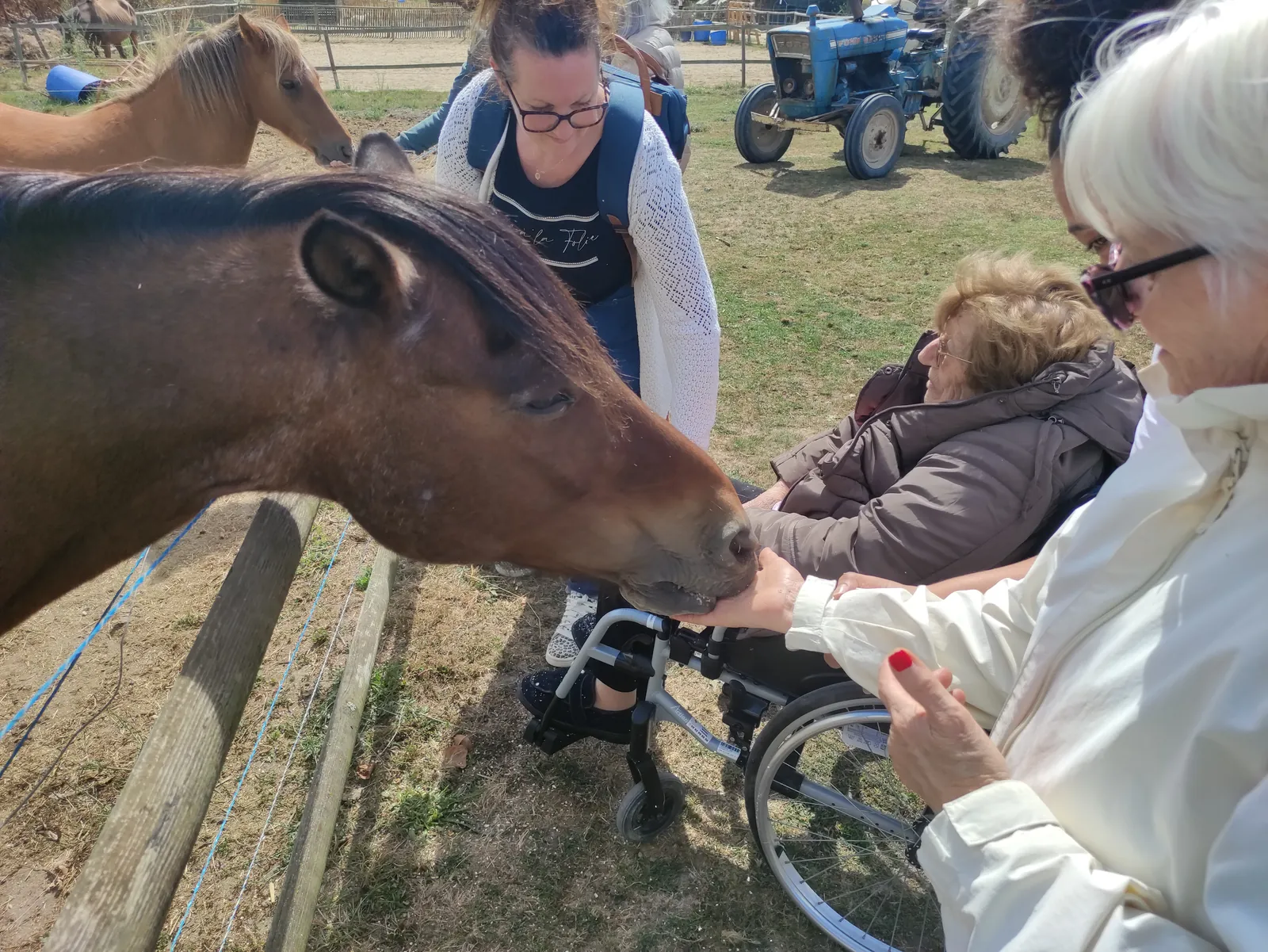 Sortie à la ferme 