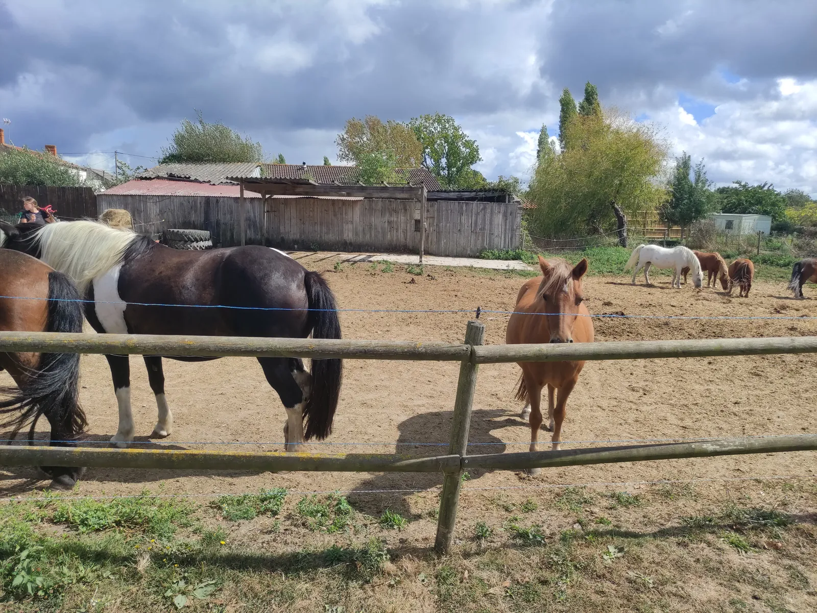 Sortie à la ferme 