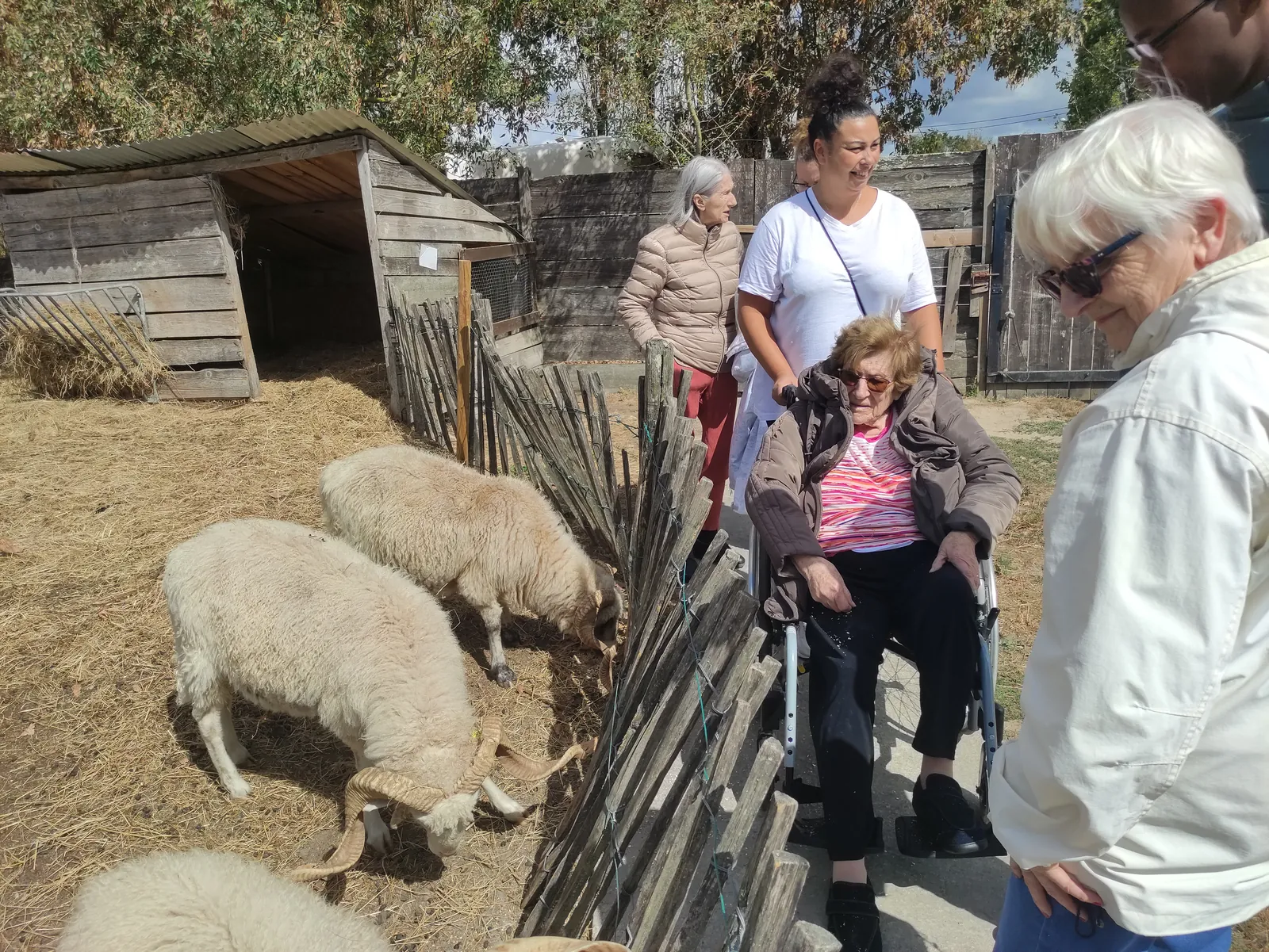 Sortie à la ferme 