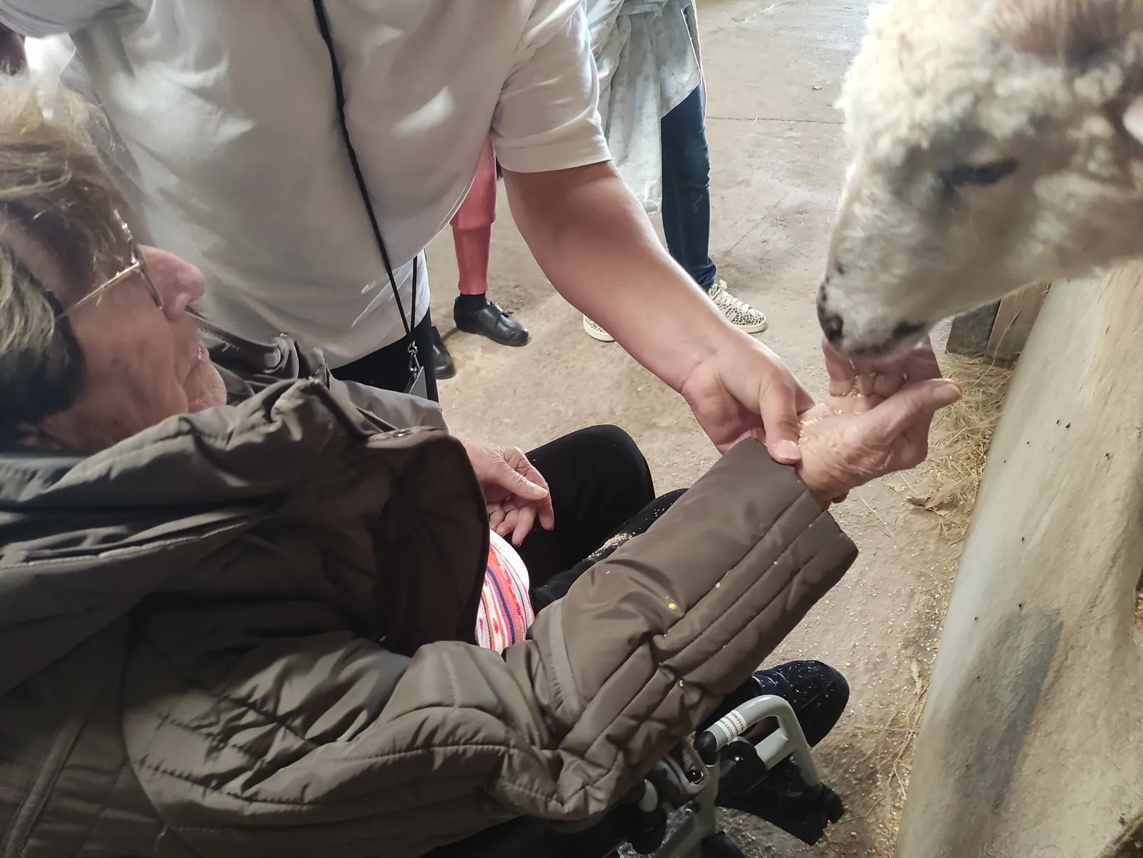 Sortie à la ferme 
