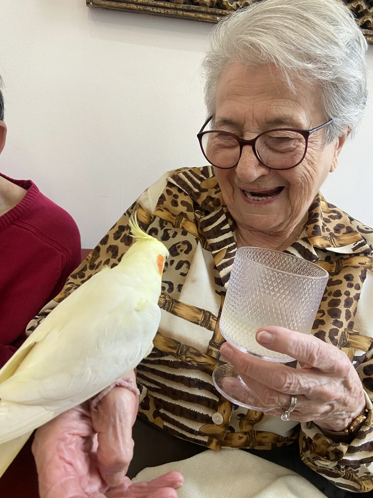 Séance de Zoothérapie – Un moment de tendresse et de partage 