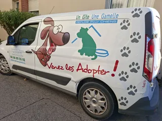 Un geste solidaire pour nos amis les animaux