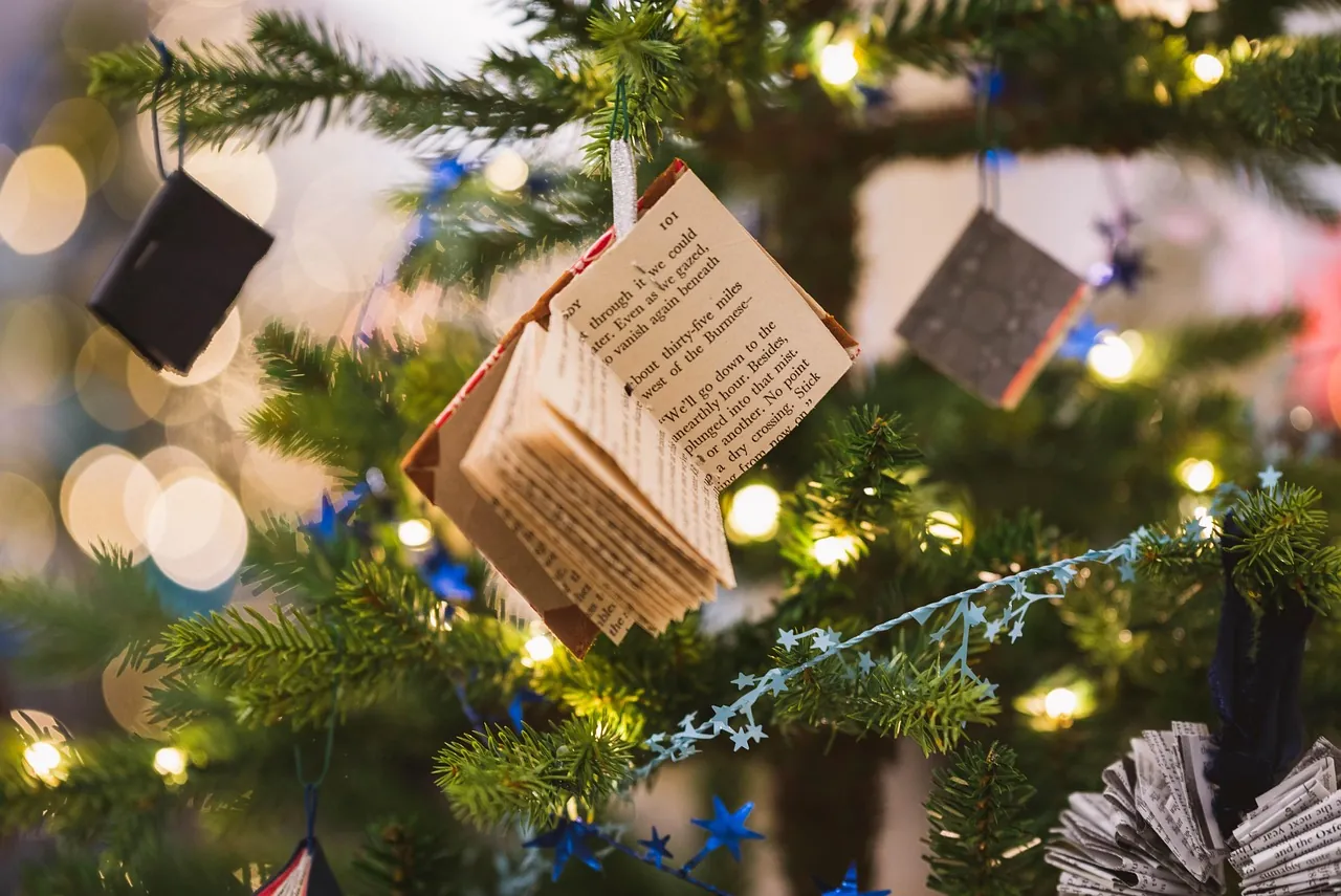 C'est parti pour le FESTI'NOEL !