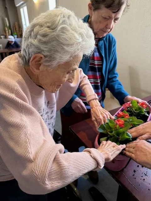 Un atelier jardinage pour fleurir la terrasse 