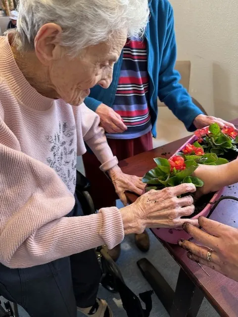 Un atelier jardinage pour fleurir la terrasse 