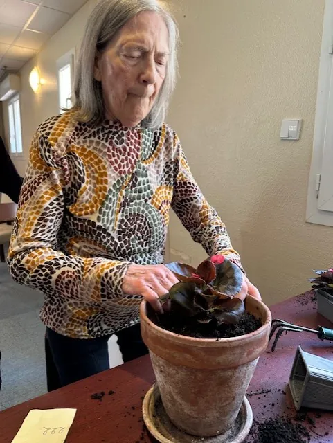 Un atelier jardinage pour fleurir la terrasse 