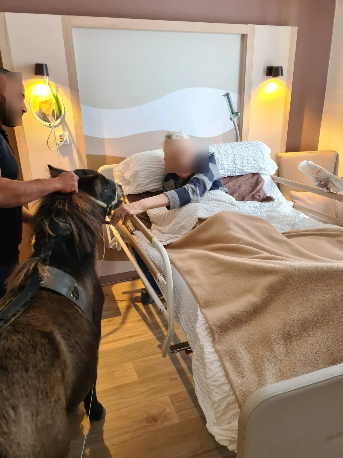 Un compagnon à 4 sabots à la résidence 