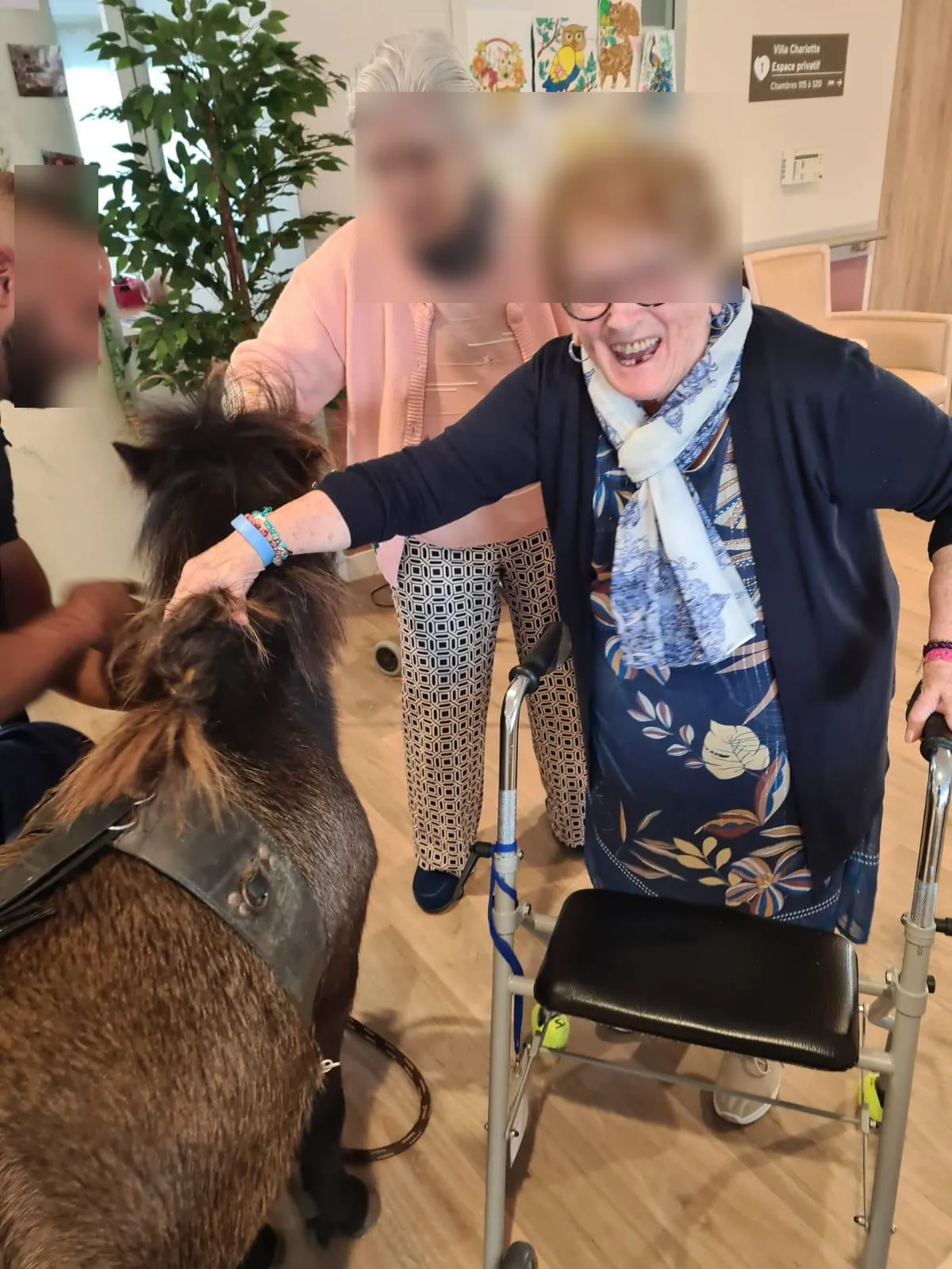 Un compagnon à 4 sabots à la résidence 