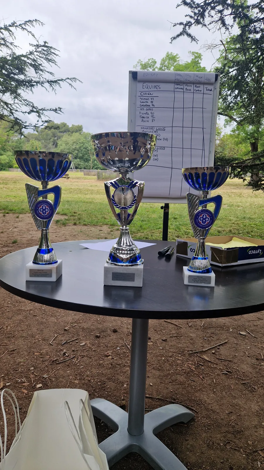  Compétition inter-EHPAD de pétanque