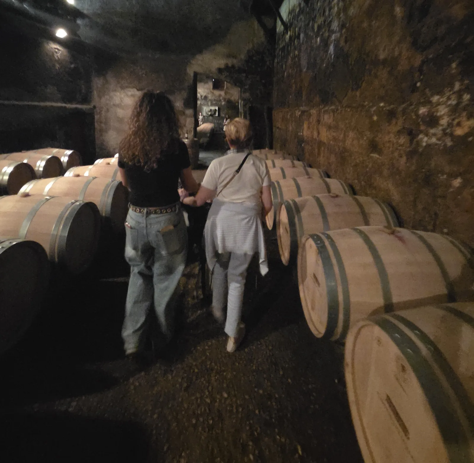 Escapade au Château du Taillan-Médoc : Visite guidée & Dégustation
