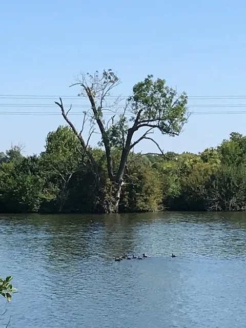 Bateau sur l'eau, la rivière au bord de l'eau...