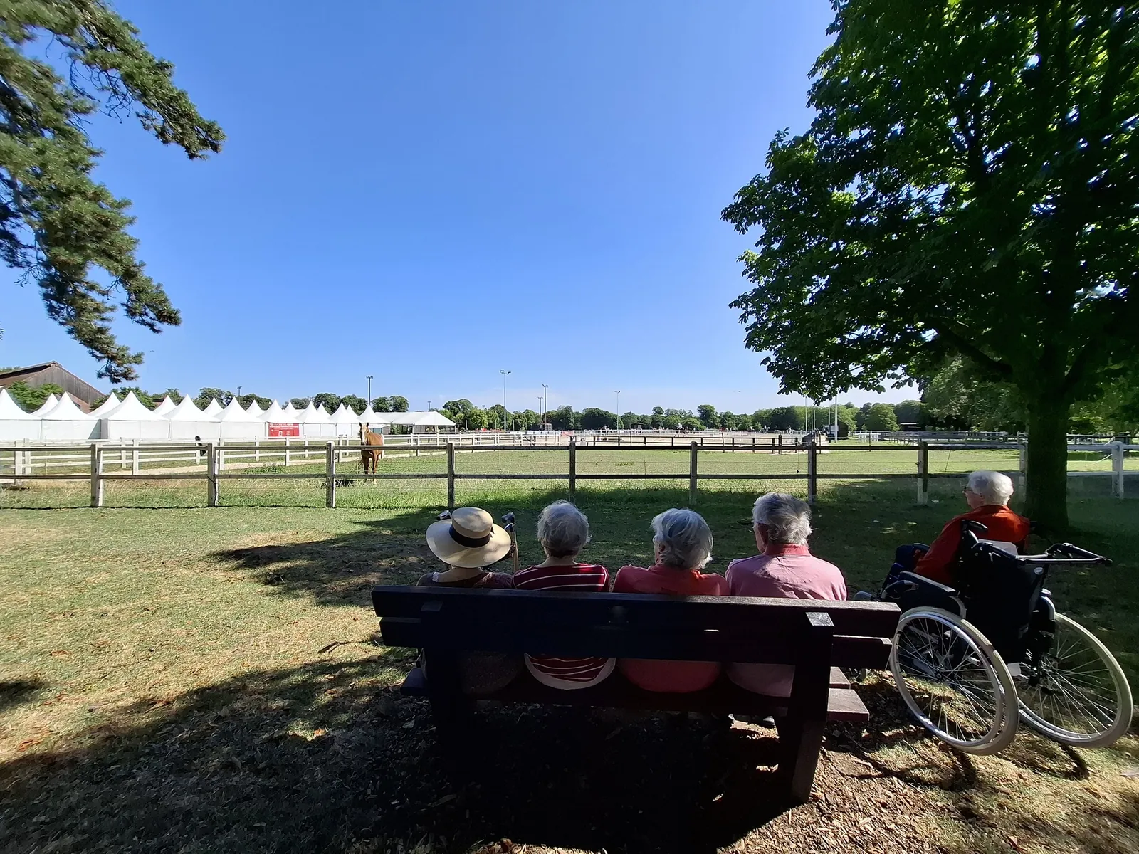Balade au Haras de Jardy avec le camion DomusVi !