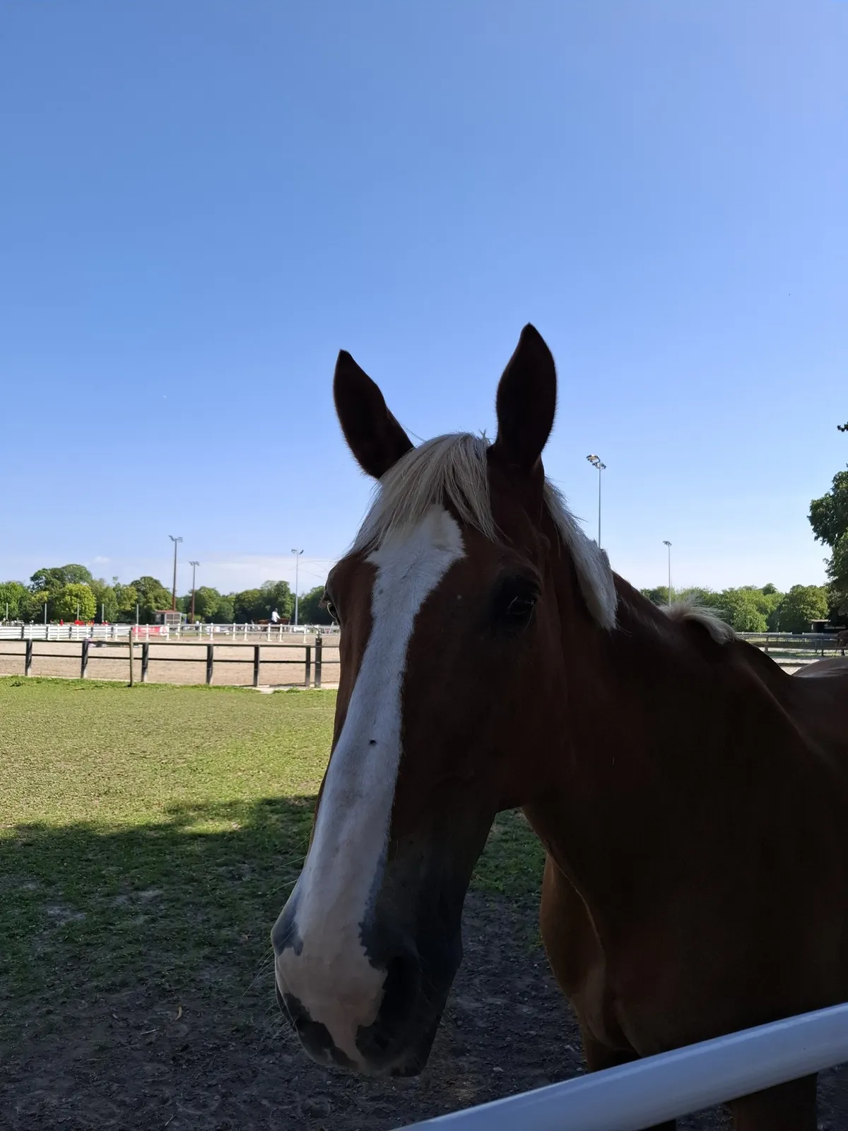 Balade au Haras de Jardy avec le camion DomusVi !