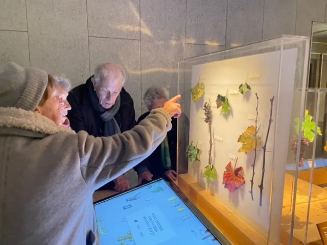 Visite du Pressoria 