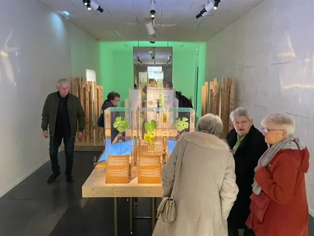 Visite du Pressoria 