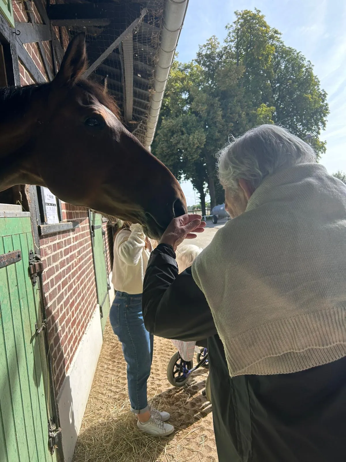 Sortie Matinale au Haras de Jardy - Mercredi 10 Août