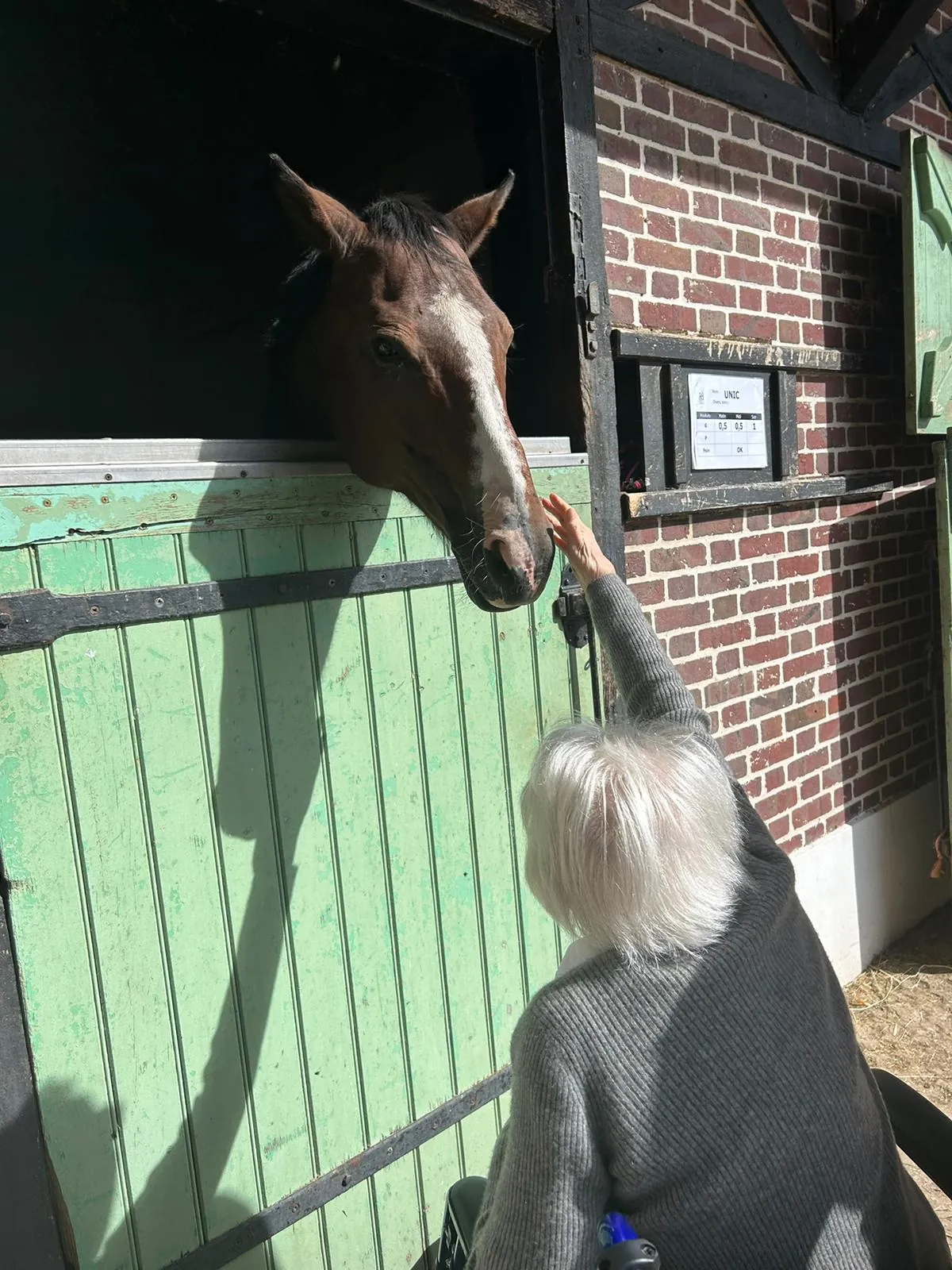 Sortie Matinale au Haras de Jardy - Mercredi 10 Août