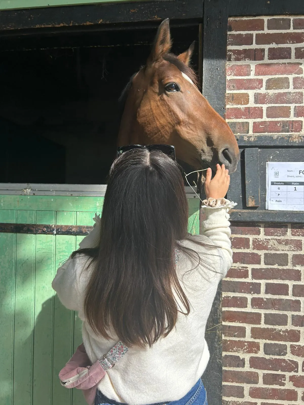 Sortie Matinale au Haras de Jardy - Mercredi 10 Août