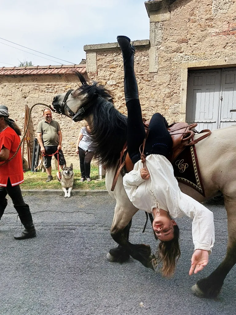 "Les animaux d'Augustodunum"