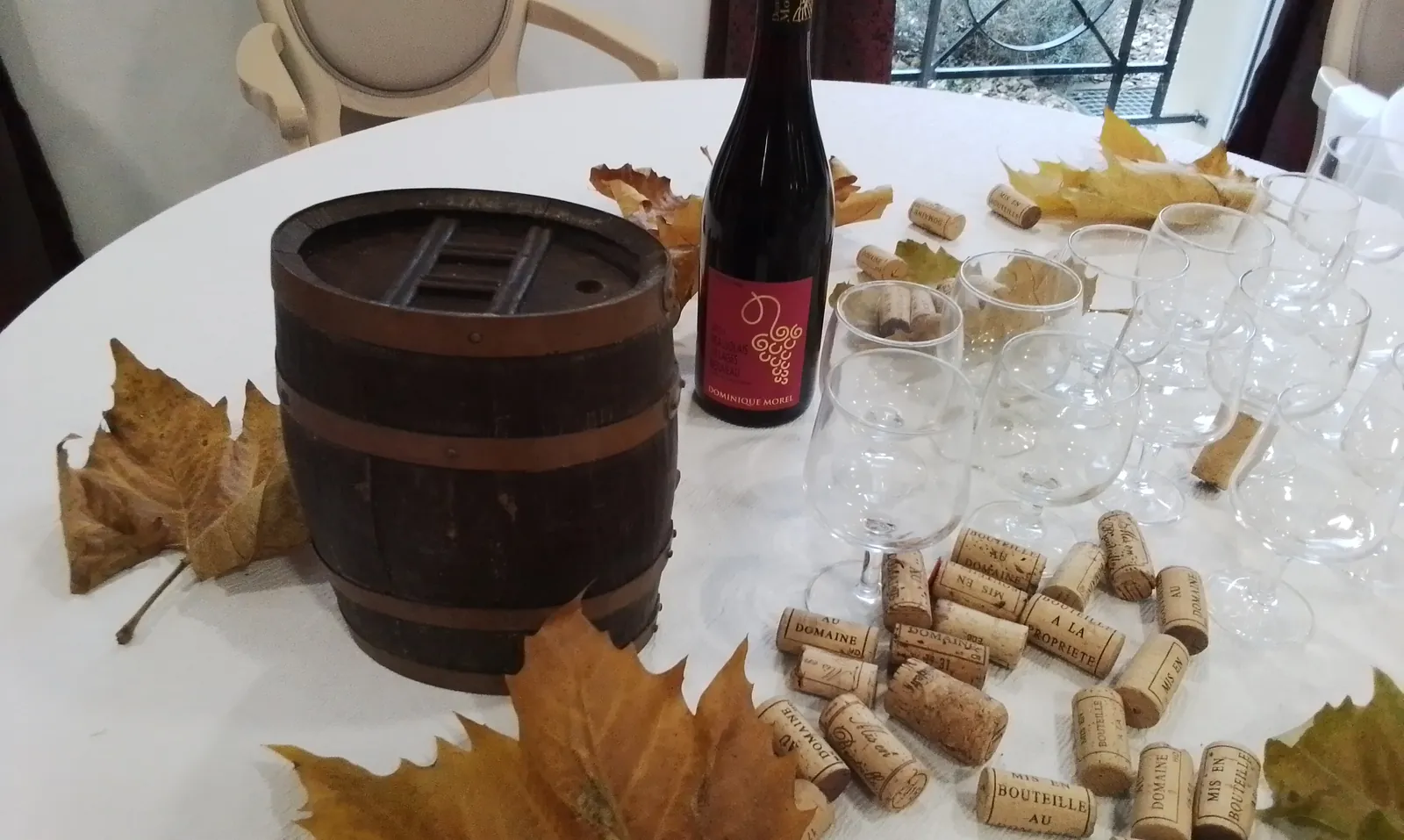 dégustations du beaujolais nouveau et d'un hareng grillé
