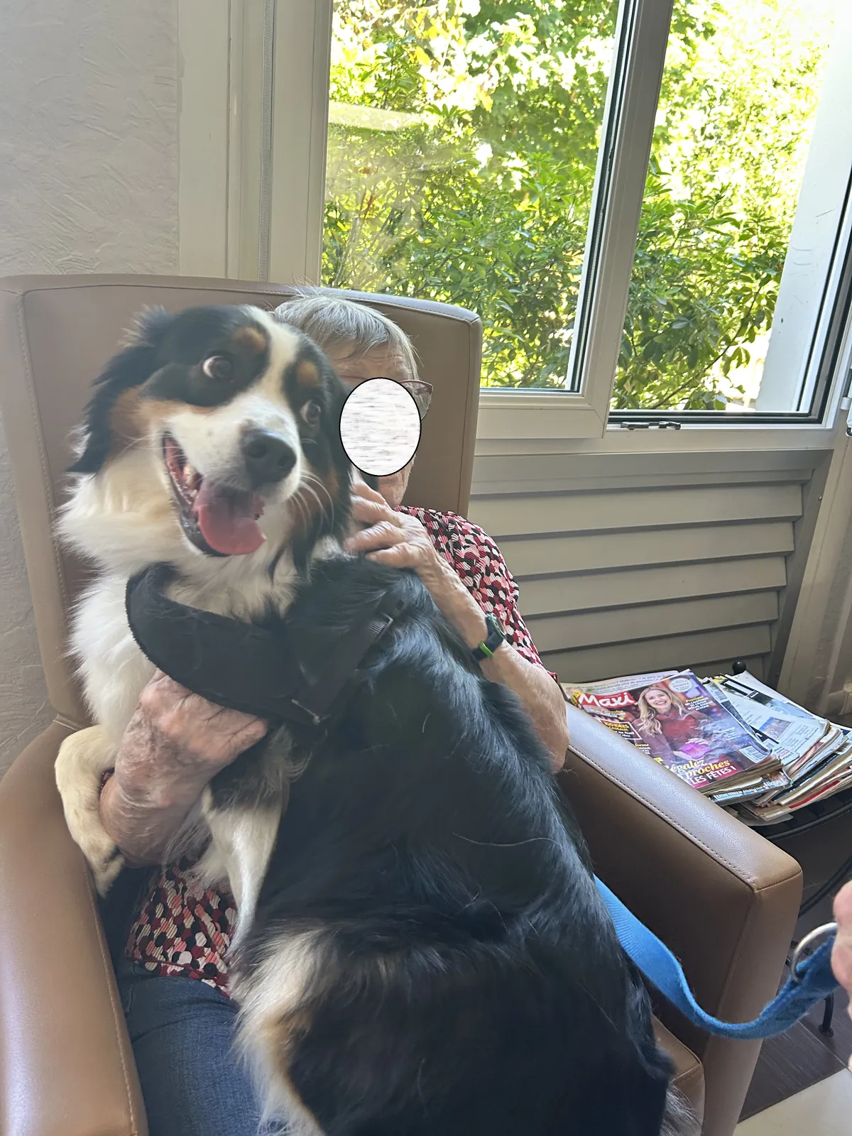 une belle sortie au Tillet avec la section canine " chien visiteurs" 