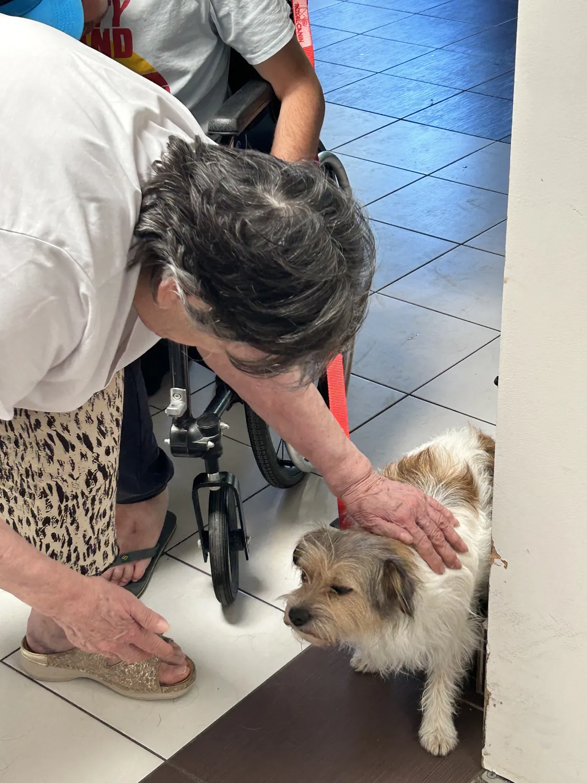 une belle sortie au Tillet avec la section canine " chien visiteurs" 