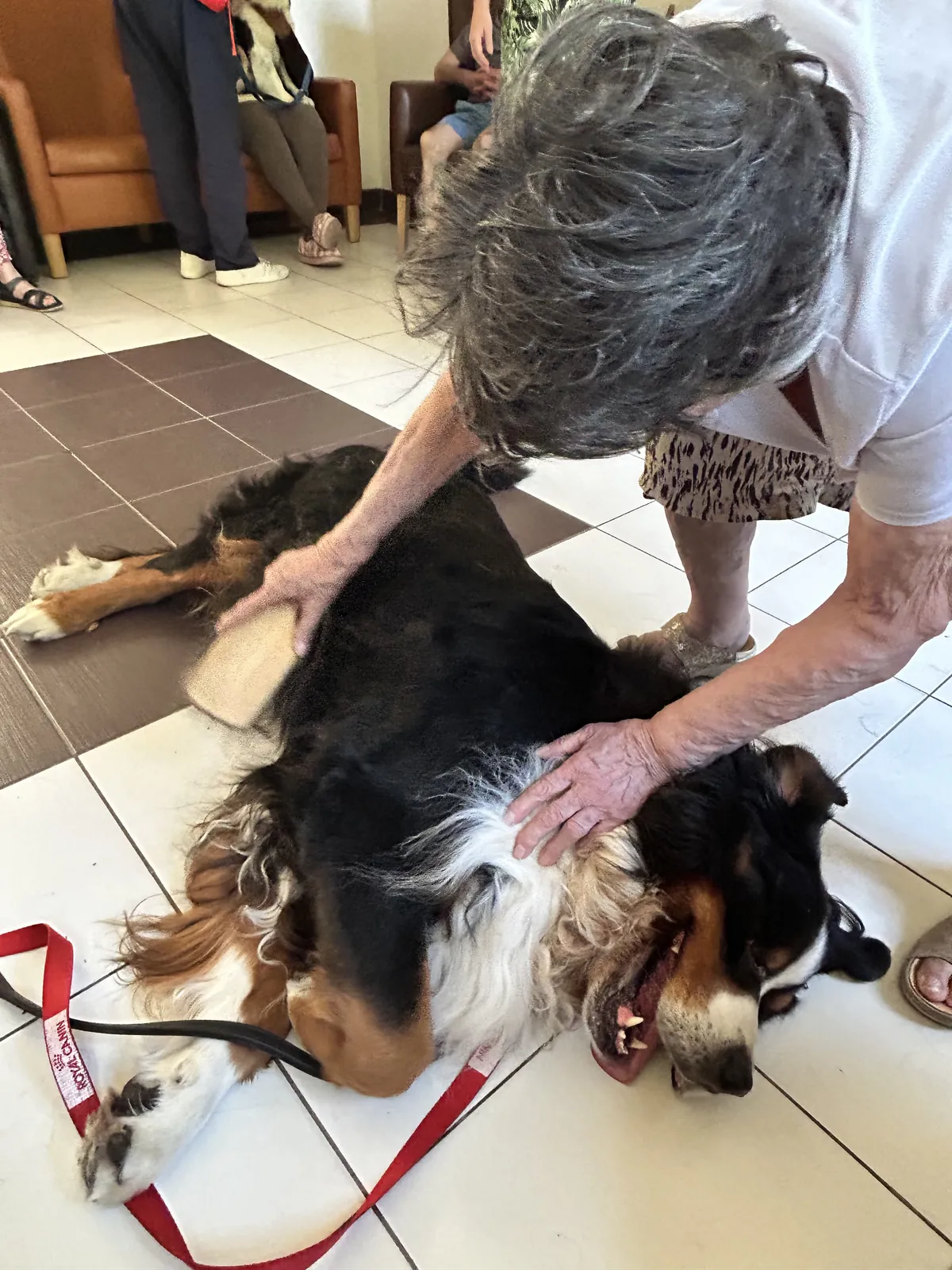 une belle sortie au Tillet avec la section canine " chien visiteurs" 