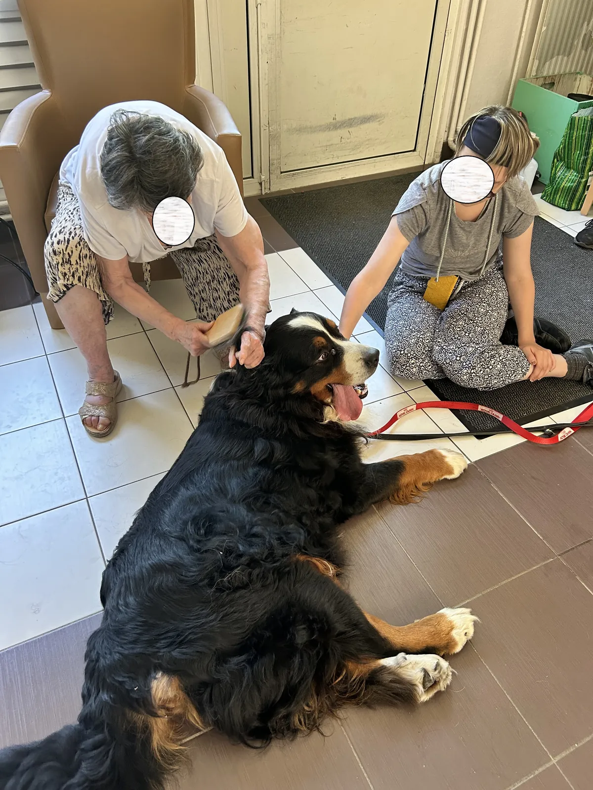 une belle sortie au Tillet avec la section canine " chien visiteurs" 