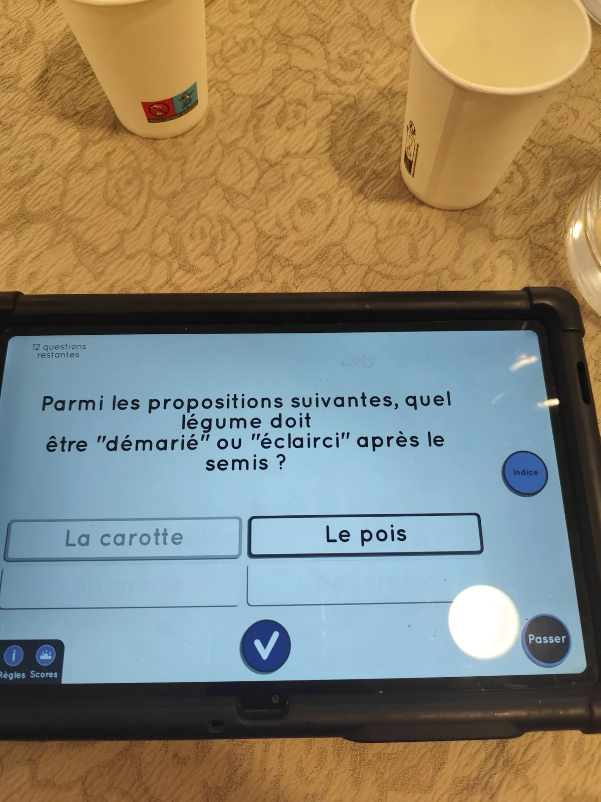 Quiz wivy 