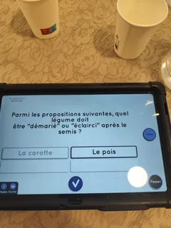 Quiz wivy 