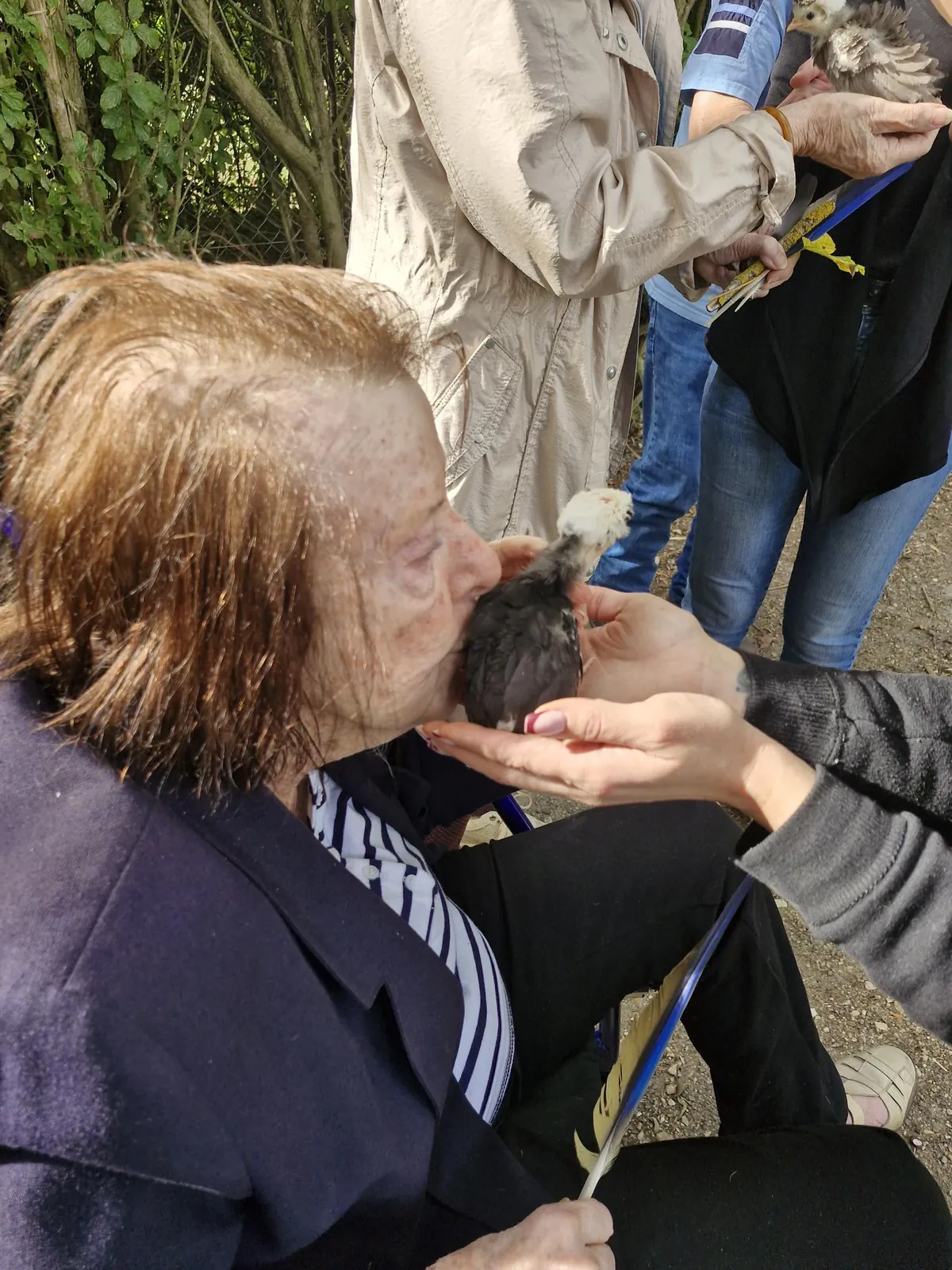 Une après-midi ensoleillée à la ferme pédagogique des Minis Chapeaux de Pailles