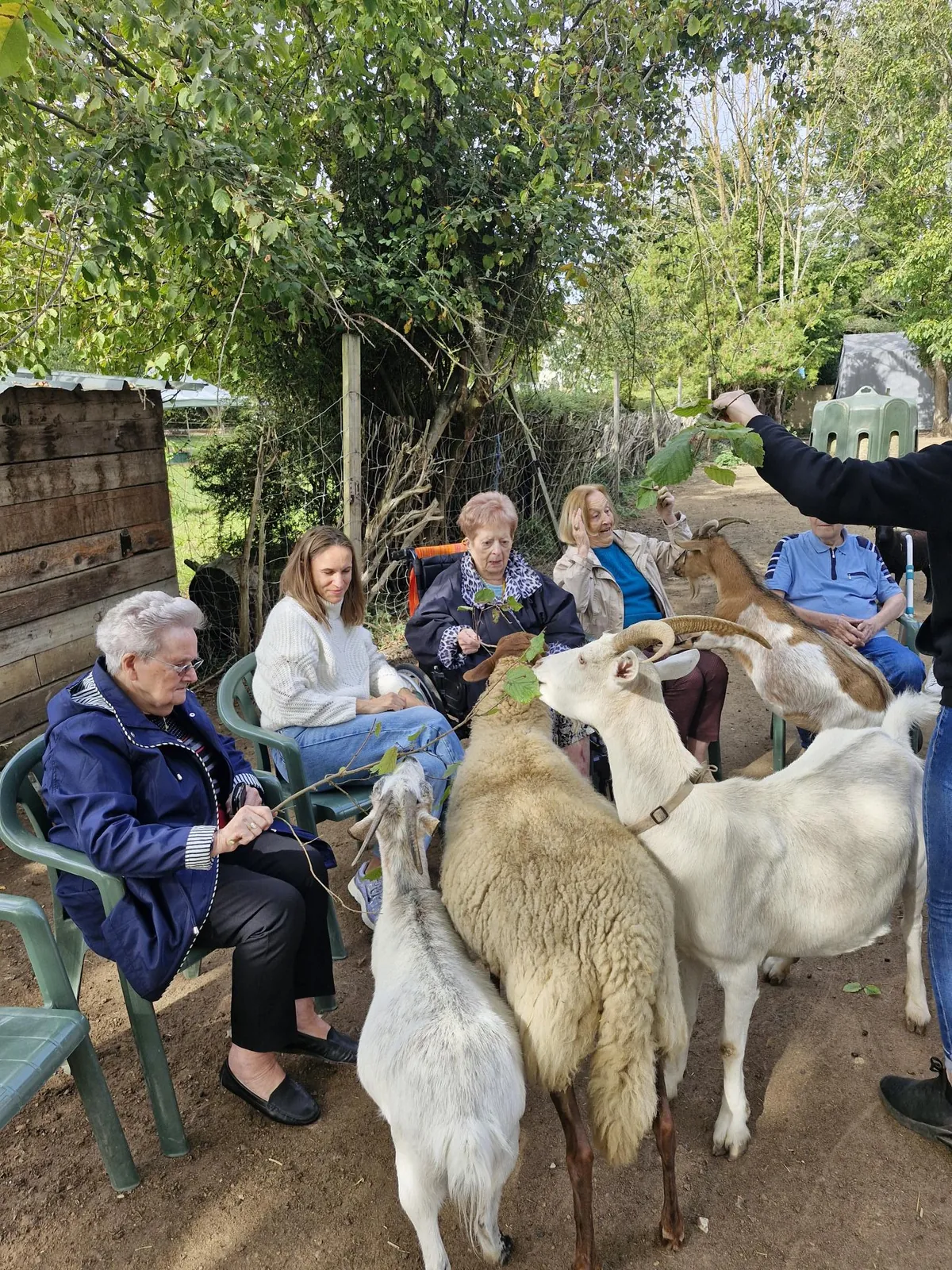 Une après-midi ensoleillée à la ferme pédagogique des Minis Chapeaux de Pailles