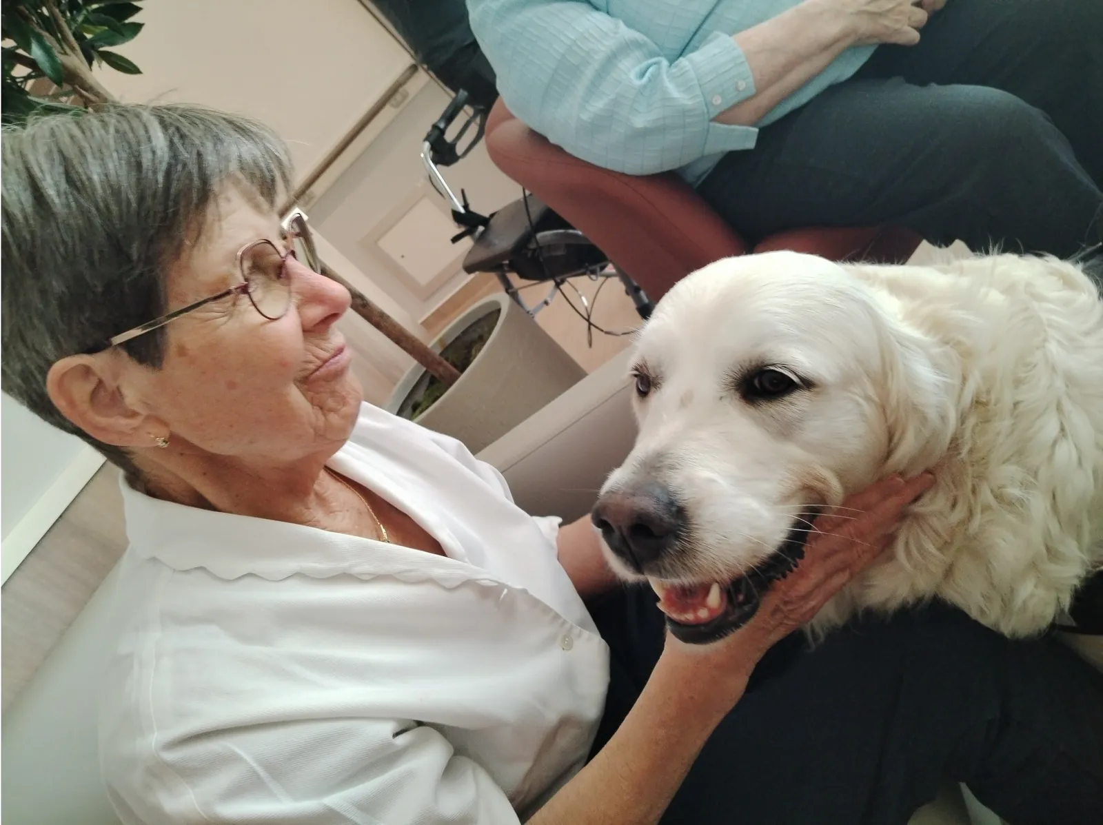 Les visites de l'Arche de Sarah