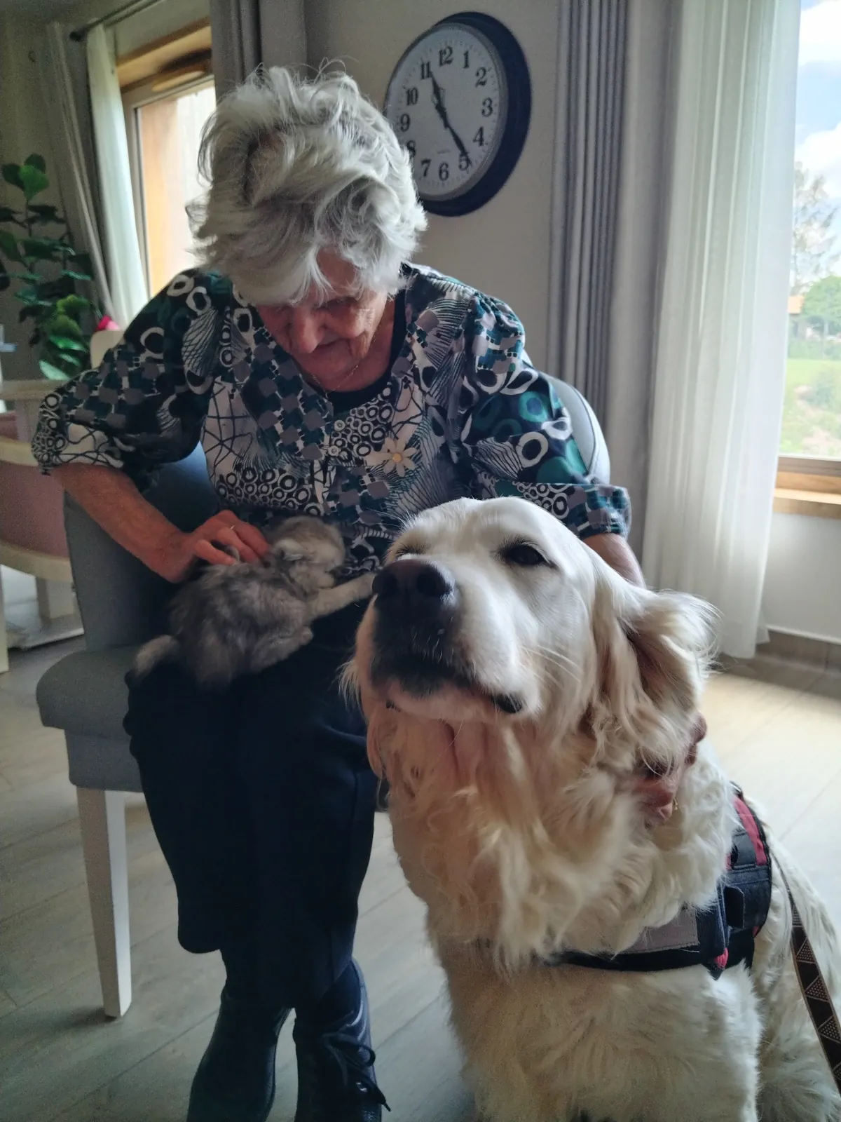 Les visites de l'Arche de Sarah