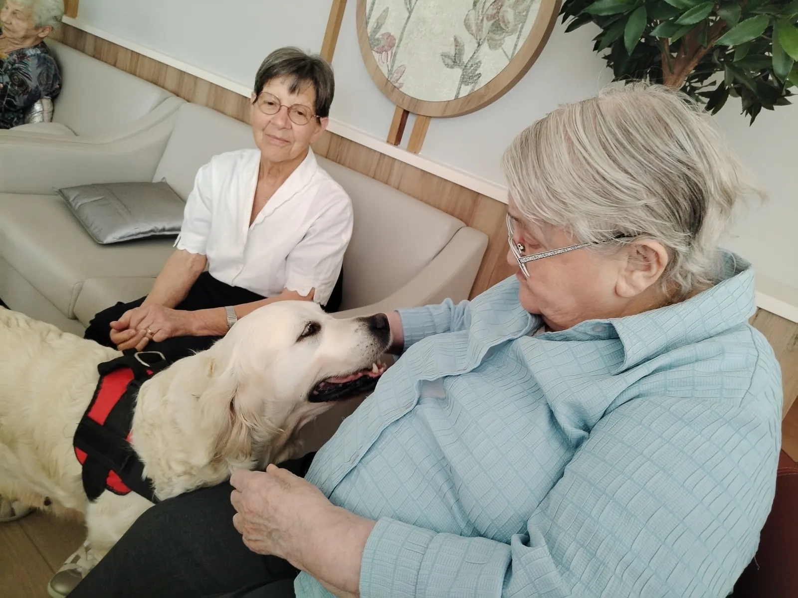 Les visites de l'Arche de Sarah