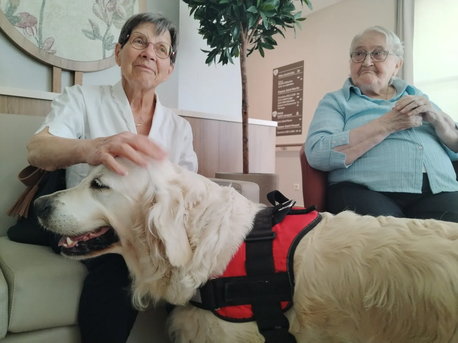 Les visites de l'Arche de Sarah