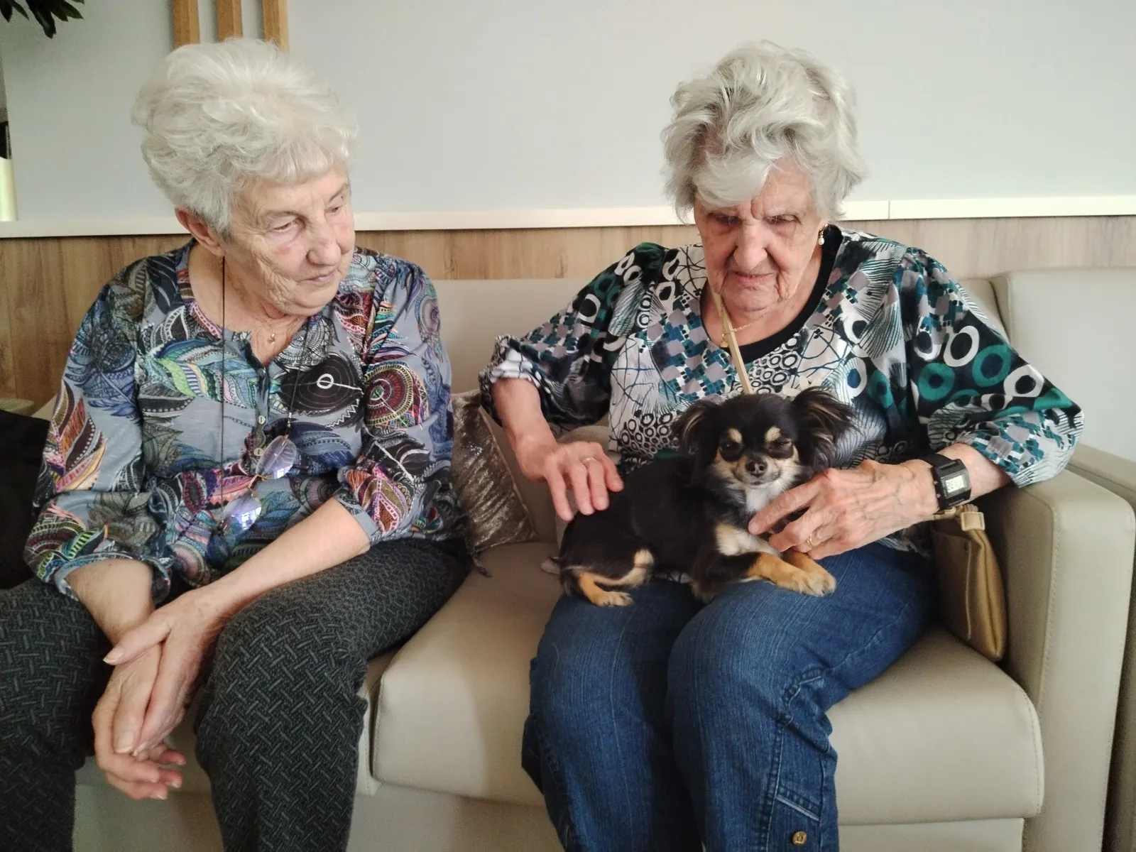 Les visites de l'Arche de Sarah