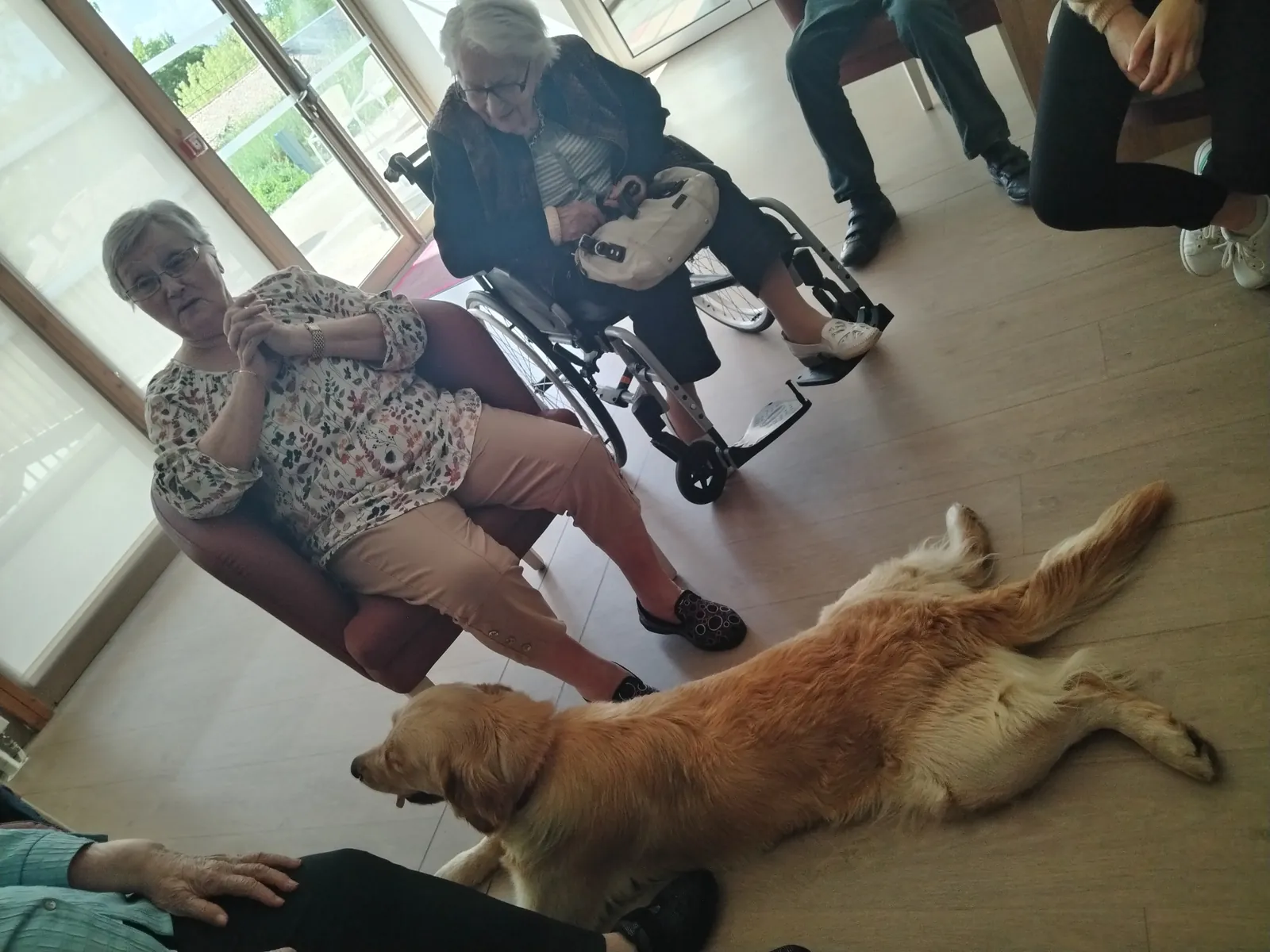 Les visites de l'Arche de Sarah